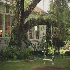 Meet your Posher, Sophia rose